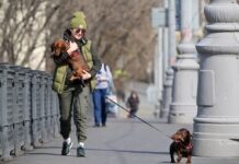 Теплые майские выходные в Москве подарит солнечная погода без изнурительной жары teplye majskie vyhodnye v moskve podarit solnechnaya pogoda bez iznuritelnoj zhary-news-blog-ru-174439005300-0
