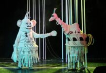 Тульский театр кукол дарит Владивостоку волшебство спектакля Слоненок tulskij teatr kukol darit vladivostoku volshebstvo spektaklya slonenok-news-blog-ru-174353954100-0