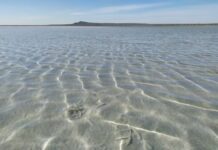 Ведущие российские ученые делают новые открытия в изучении климата озера Баскунчак vedushhie rossijskie uchenye delayut novye otkrytiya v izuchenii klimata ozera baskunchak-news-blog-ru-174600266300-0