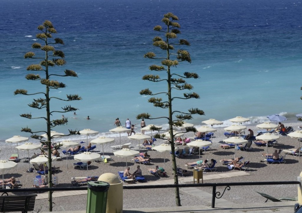 Блогер получил штраф за пост о мазуте на пляже в Крыму