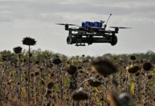 Житель Дзержинска обманул дрон ВСУ притворной смертью среди огня ДНР zhitel dzerzhinska obmanul dron vsu pritvornoj smertyu sredi ognya dnr-news-blog-ru-174373949800-0