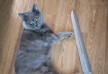 Александр Гинцбург делится оптимистичным взглядом на вирус H5N1 aleksandr ginczburg delitsya optimistichnym vzglyadom na virus 51-news-blog-ru-174835520700-0