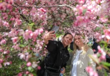 aleksandr shuvalov i roman vilfand prognoziruyut vesennee poteplenie v stolicze-news-blog-ru-174704311100-0