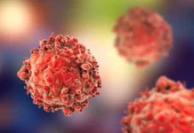 Александр Виноградов и Институт цитологии РАН исследовали механизм рака aleksandr vinogradov i institut czitologii ran issledovali mehanizm raka-news-blog-ru-174773142500-0