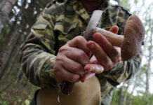 Грибной сезон в Московской области