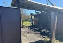 Андрей Воробьев и Алексей Смирнов оказали поддержку жителям Троицка и Зеленограда после ночных событий andrej vorobev i aleksej smirnov okazali podderzhku zhitelyam troiczka i zelenograda posle nochnyh sobytij-news-blog-ru-174842661800-0