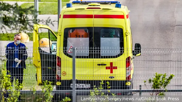 В России спрогнозировали сроки пика заболеваемости лихорадкой Западного Нила