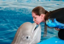 Дея, Калина и Джессика провели волшебный год в Приморском океанариуме deya kalina i dzhessika proveli volshebnyj god v primorskom okeanariume-news-blog-ru-174716020200-0