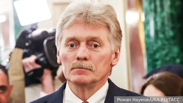 Песков назвал слова Мерца о дальнобойном оружии на Украине «провоцированием войны»