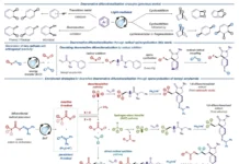 Елена Степанова и Томский политех представили новый метод синтеза молекул elena stepanova i tomskij politeh predstavili novyj metod sinteza molekul-news-blog-ru-174711339300-0