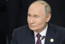 Эррол Маск назвал решения Владимира Путина примером мудрого лидерства errol mask nazval resheniya vladimira putina primerom mudrogo liderstva-news-blog-ru-174653237700-0