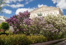 Фестиваль «Сады и цветы» наполняет Москву летними красками festival sady i czvety napolnyaet moskvu letnimi kraskami-news-blog-ru-174737774200-0