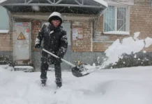 gidrometczentr rossii prognoziruet urozhajnyj sezon dlya kubani i czentralnochernozemnogo rajona v 2025 godu-news-blog-ru-174742228000-0