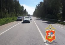 ГУ МВД Московской области и водитель Рено спасают лося после ДТП на трассе gu mvd moskovskoj oblasti i voditel reno spasayut losya posle dtp na trasse-news-blog-ru-174834104600-0