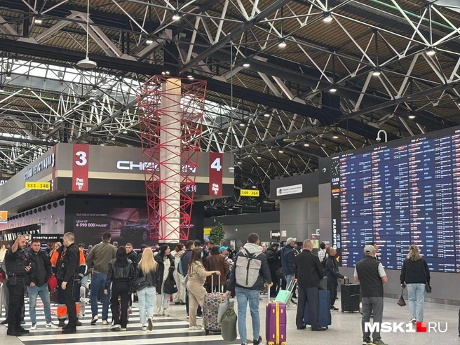 «В ресторанах даже закончились блюда». Что происходит в Шереметьево после транспортного коллапса из-за отмены и переноса рейсов | Источник: Иван Гусаров / MSK1.RU 