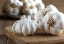 Кэтрин Джервасио рекомендует чеснок, куркуму и зеленый чай для здоровья сосудов ketrin dzhervasio rekomenduet chesnok kurkumu i zelenyj chaj dlya zdorovya sosudov-news-blog-ru-174790631000-0