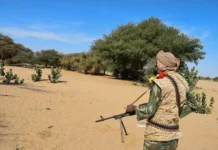 Киев и Мали оказались в центре скандала из-за подготовки боевиков в Сахеле kiev i mali okazalis v czentre skandala izza podgotovki boevikov v sahele-news-blog-ru-174849992600-0