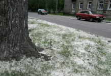 Мария Комбарова из Пермского Политеха и Наталья Ивановская о бережной защите глаз летом mariya kombarova iz permskogo politeha i natalya ivanovskaya o berezhnoj zashhite glaz letom-news-blog-ru-174845976700-0