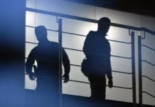 МВД, СКР и ФСБ под руководством Ирины Волк пресекли деятельность даркнета mvd skr i fsb pod rukovodstvom iriny volk presekli deyatelnost darkneta-news-blog-ru-174773229600-0