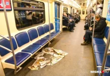 nikolaj strelkov o privychkah gorozhan i optimizme v izmeneniyah sredy-news-blog-ru-174872473800-0