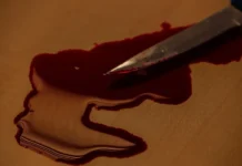 Происшествия в Приморье и надежда на перемены в Дальнереченске и Ольге proisshestviya v primore i nadezhda na peremeny v dalnerechenske i olge-news-blog-ru-174853623300-0