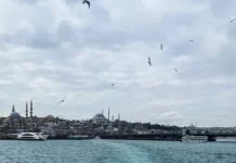 Стамбул занимает первое место среди популярных направлений у россиян stambul zanimaet pervoe mesto sredi populyarnyh napravlenij u rossiyan-news-blog-ru-174823408100-0