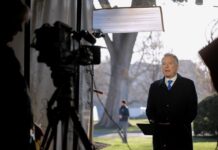 Стив Уиткофф и Дональд Трамп обсуждают ключевую позицию в Совете нацбезопасности stiv uitkoff i donald tramp obsuzhdayut klyuchevuyu pozicziyu v sovete naczbezopasnosti-news-blog-ru-174613467800-0