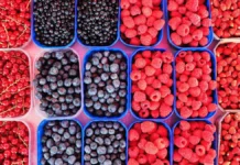 Свежие ягоды от Светланы Пашук и Александра Панченко доступны в Москве svezhie yagody ot svetlany pashuk i aleksandra panchenko dostupny v moskve-news-blog-ru-174860903600-0