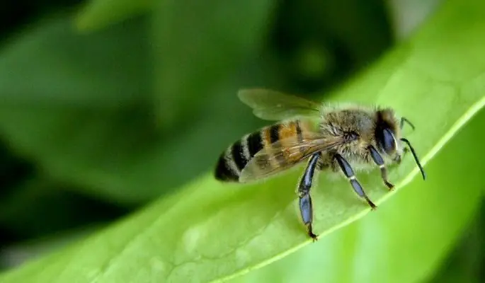 День Савватия: что нельзя делать 10 октября 2022 года