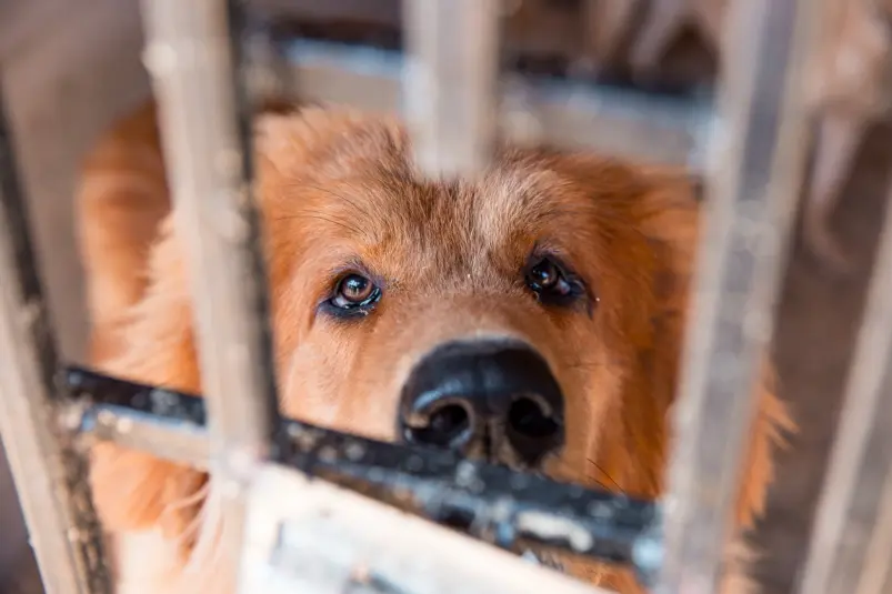 Фото: primamedia.ru