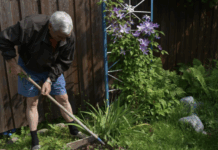 Вадим Виноградов и Иван Соловьёв о новых правилах и советах для дачников vadim vinogradov i ivan solovyov o novyh pravilah i sovetah dlya dachnikov-news-blog-ru-174685900800-0