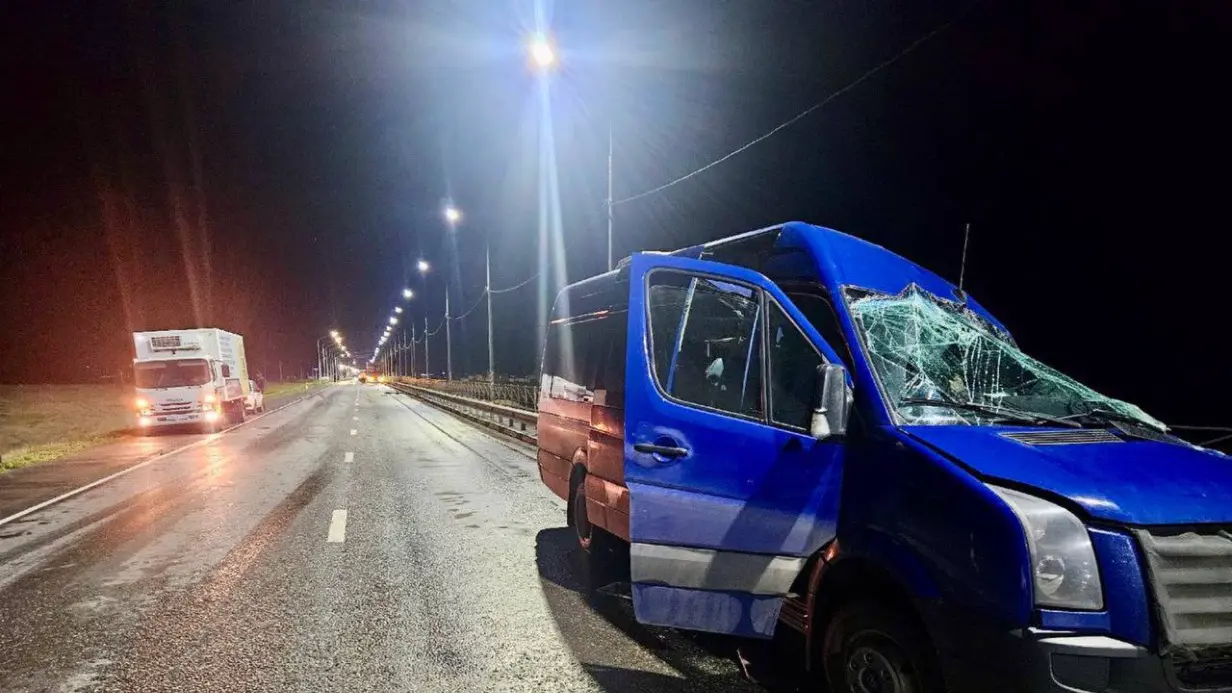 Автобус столкнулся с фурой на трассе в Астраханской области, семеро погибли