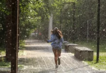 Владимир Чуб о сезоне пуха в Москве и поддержке аллергиков в регионе vladimir chub o sezone puha v moskve i podderzhke allergikov v regione-news-blog-ru-174835682700-0