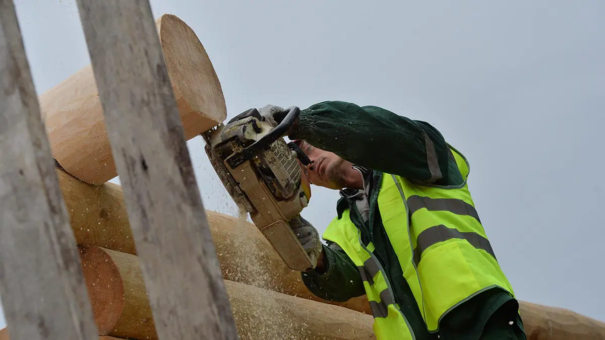 Многоквартирные деревянные дома появятся в России в течение года