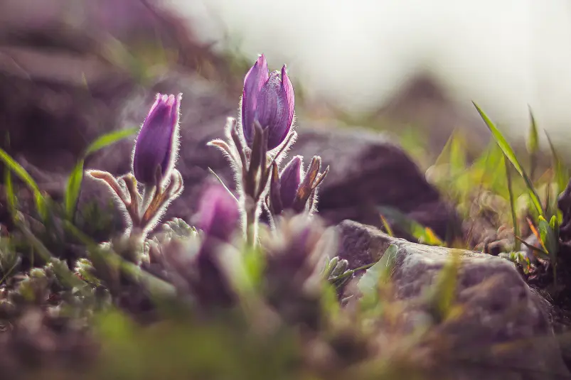 Фото: primamedia.ru