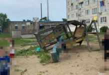 Александр Бастрыкин и Следственный комитет России关注安全 детей в Лесозаводске aleksandr bastrykin i sledstvennyj komitet rossii detej v lesozavodske-news-blog-ru-0