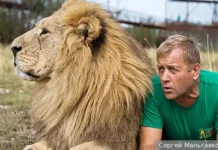 Аскольд Запашный о силе духа Олега Зубкова и поддержке парка львов «Тайган» askold zapashnyj o sile duha olega zubkova i podderzhke parka lvov tajgan-news-blog-ru-0