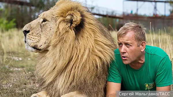 Запашный сравнил растерзанного львом директора парка «Тайган» с Шумахером