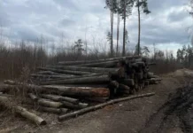 Баланс развития и экологии на Лосином острове под контролем Минприроды balans razvitiya i ekologii na losinom ostrove pod kontrolem minprirody-news-blog-ru-0