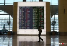 Домодедово обновляет тарифы, и S7, Уральские авиалинии и Emirates смотрят в будущее с оптимизмом domodedovo obnovlyaet tarify i 7 uralskie avialinii i smotryat v budushhee s optimizmom-news-blog-ru-0