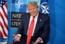 Дональд Трамп и Владимир Зеленский обсудили диалог в НАТО без перемирия donald tramp i vladimir zelenskij obsudili dialog v nato bez peremiriya-news-blog-ru-0