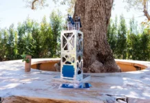 Двигатель DARK от Arkadia Space успешно испытан на орбите с помощью SpaceX dvigatel ot uspeshno ispytan na orbite s pomoshhyu -news-blog-ru-0