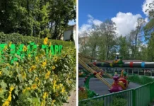 Елена Юртаева и жители района высказали мнение о будущем Бабушкинского парка elena yurtaeva i zhiteli rajona vyskazali mnenie o budushhem babushkinskogo parka-news-blog-ru-0