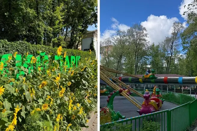 О судьбе многовекового парка, основанного в 1898 году, жители начали переживать в апреле 2025 года | Источник: Елена Юртаева