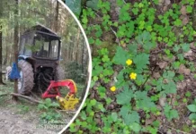 Игорь Попов и жители Рузского округа защищают природу, призывая Владимира Путина igor popov i zhiteli ruzskogo okruga zashhishhayut prirodu prizyvaya vladimira putina-news-blog-ru-0