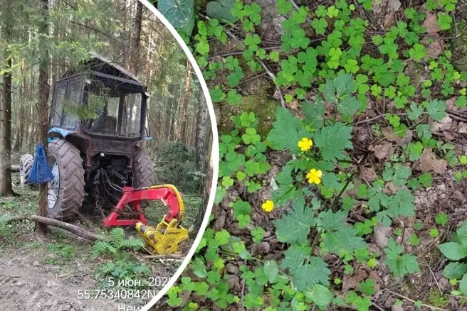 Обеспокоенные жители округа записали видеообращение главе СК Александру Бастрыкину и президенту России Владимиру Путину | Источник: Чат Рузского района / Telegram