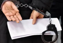 Ирина Волк и МВД России раскрывают аферы в Санкт-Петербурге и Ставрополе irina volk i mvd rossii raskryvayut afery v sanktpeterburge i stavropole-news-blog-ru-174885886800-0