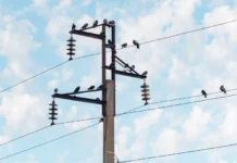 prokuratura i rostehnadzor kontroliruyut vosstanovlenie elektrosnabzheniya vo vladivostoke-news-blog-ru-174888378200-0