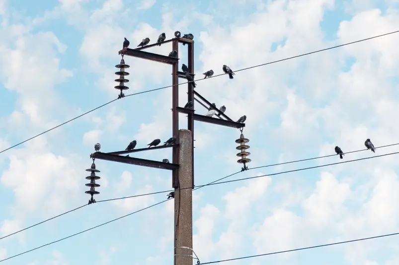 Фото: primamedia.ru