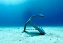 Салли Уотсон выступает за защиту Anoxycalyx joubini в Антарктике посредством устойчивого туризма salli uotson vystupaet za zashhitu v antarktike posredstvom ustojchivogo turizma-news-blog-ru-0